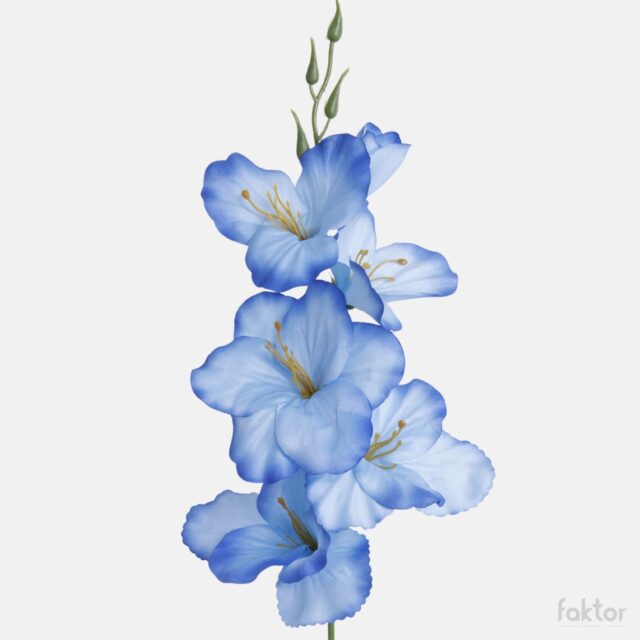 Safiirinsininen tekogladioli, 55 cm