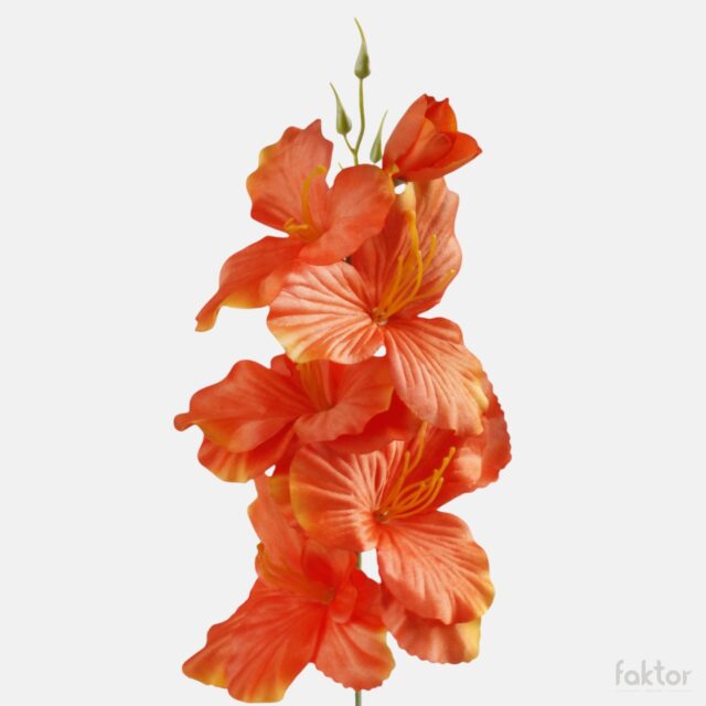 Tummanoranssi satiininen gladiolus-tekokukka
