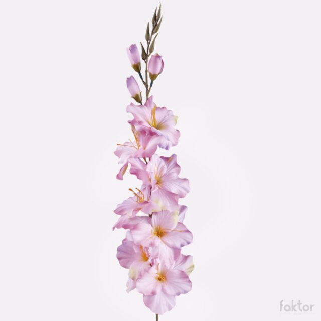 Mauvenvihreäreunainen tekokukka gladiooli 78 cm