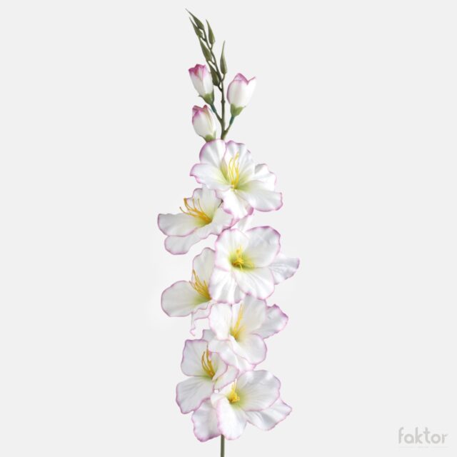 Kermanvärinen tekogladiolus violetilla reunalla ja vihreällä keskustalla