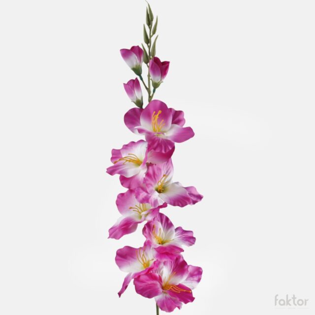 Viininpunainen ja kermanvärinen tekogladioli vihreällä keskustalla