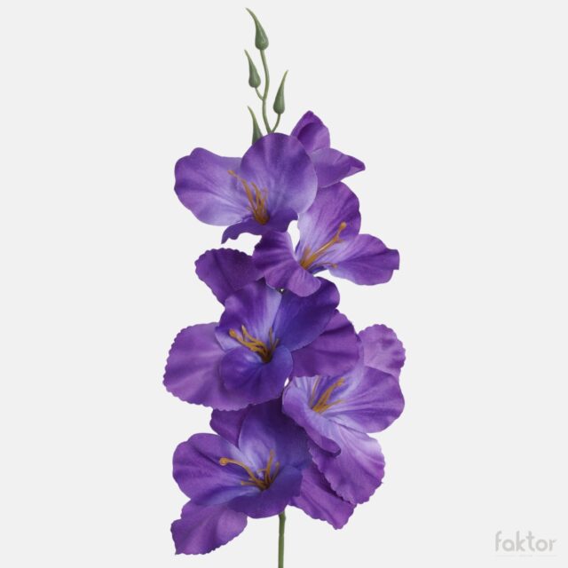 Violetti satiinigladiolus-tekokukka