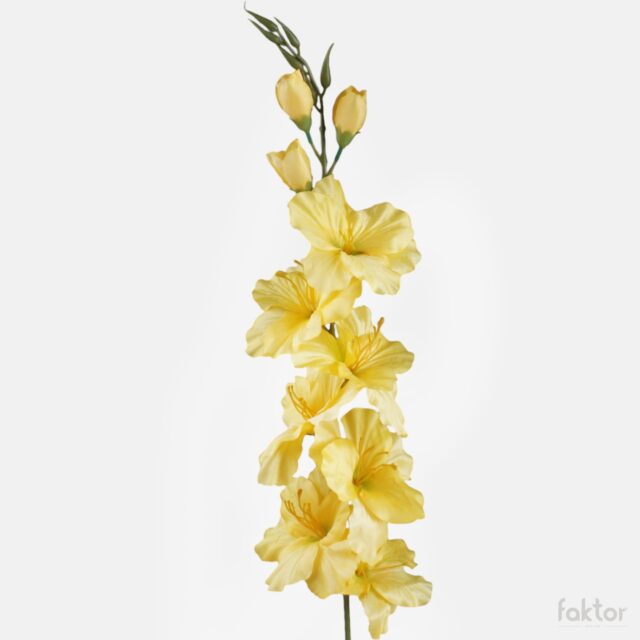 Keltainen tekogladiolus vihreällä keskustalla