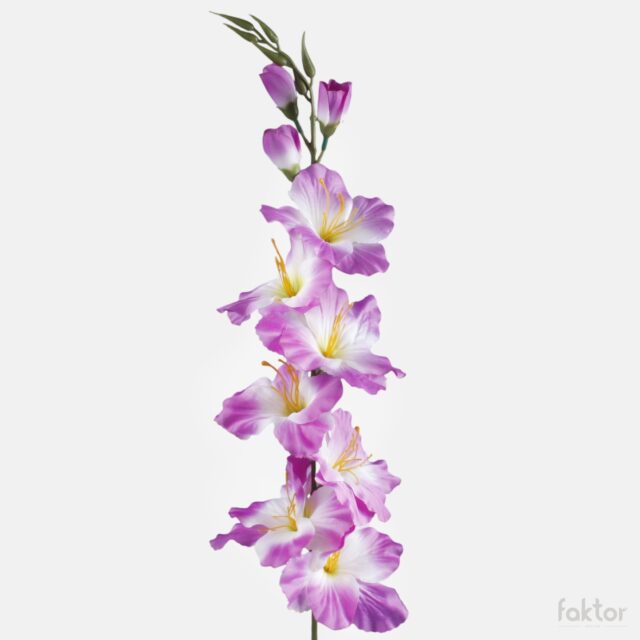 Violetti-valkoinen tekogladioli vihreällä keskustalla