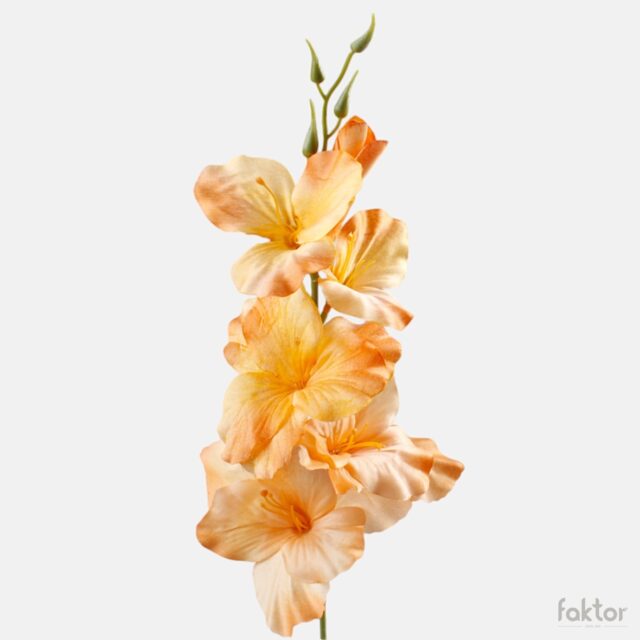 Vaaleanoranssi satiininen gladiolus-tekokukka