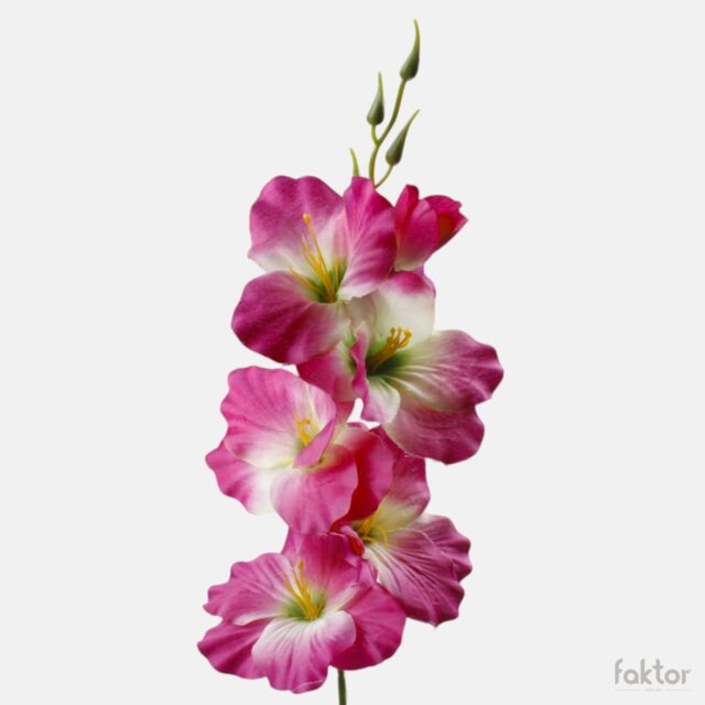 Viininpunainen ja kermanvärinen gladioluksen tekokukkaoksa vihreällä keskustalla