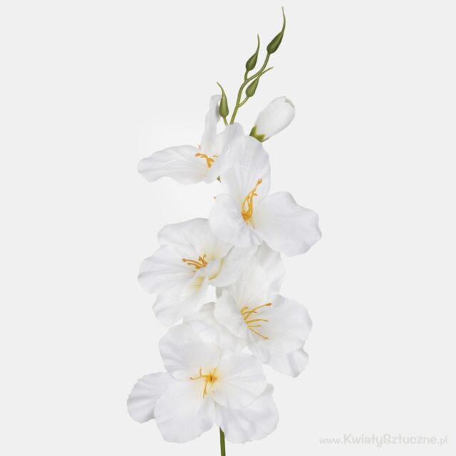 Kermanvärinen tekogladioli vaaleanvihreällä keskustalla