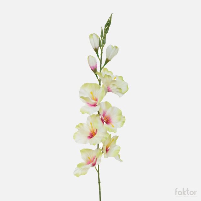 Vaaleanvihreä–kermanvärinen–violetti tekogladioli