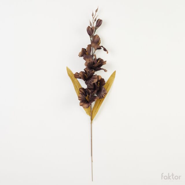 Ruskea gladiolus-tekokukka varressa, 64 cm