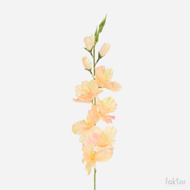 Persikanvärinen gladiolus-tekokukka kukkavarrella