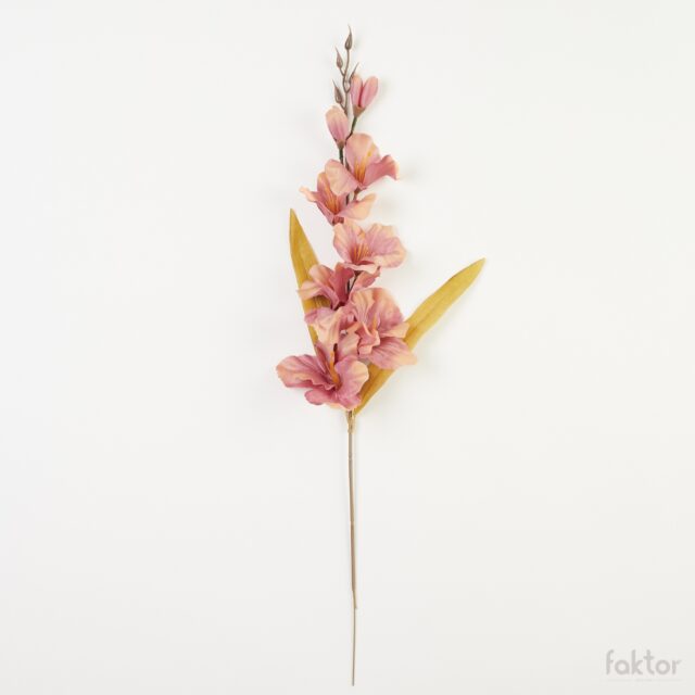 Persikan ja vaalean malvan sävyinen gladiolus-tekokukka 64 cm