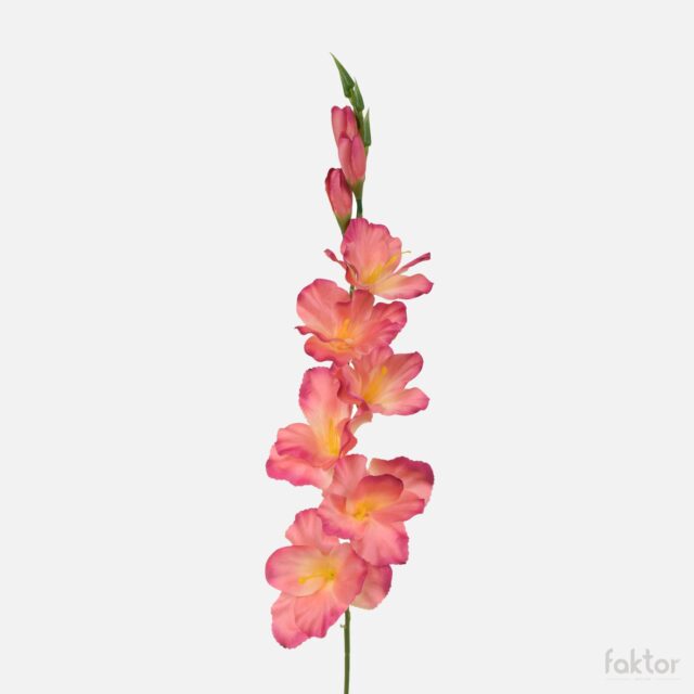 Vaaleanpunainen gladiolus-tekokukka