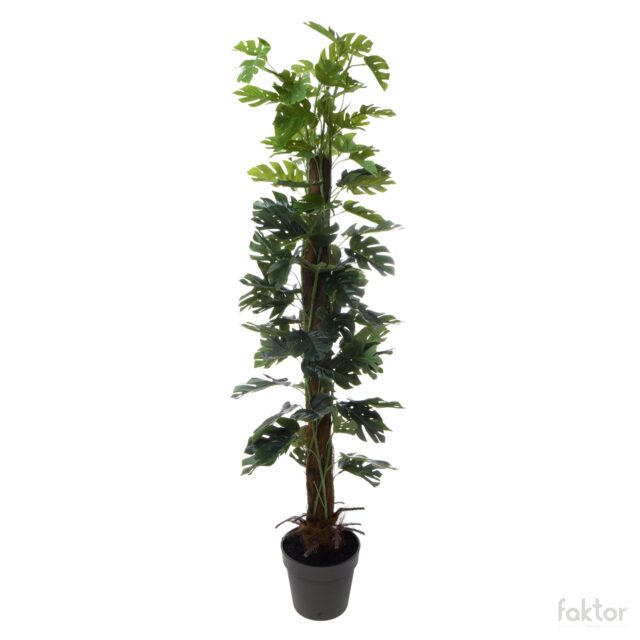 Vihreä monstera-tekokasvi, 1,4 m