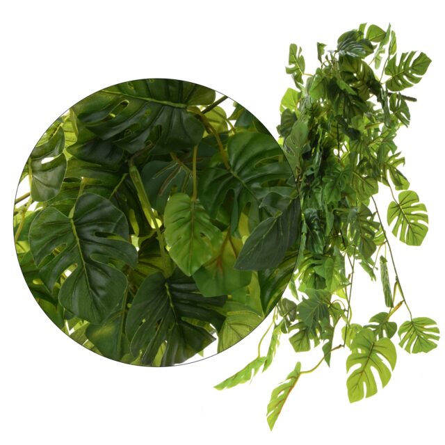 Vihreä monstera-philo-köynnöstekokasvi 70 cm