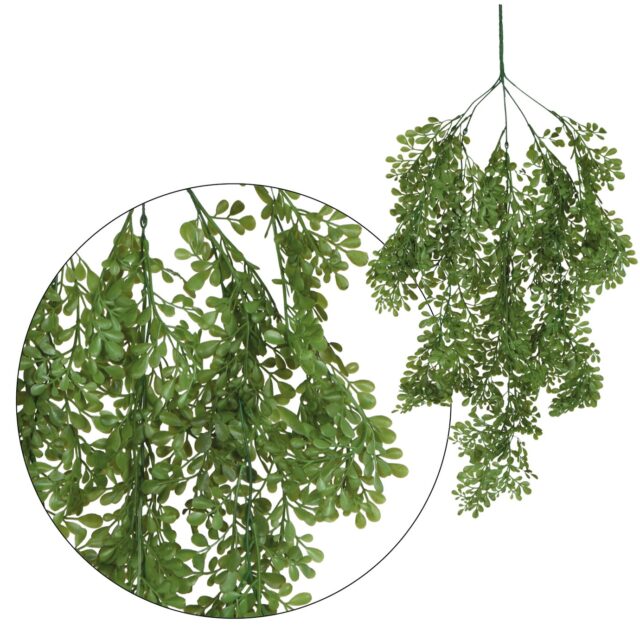 Tummanvihreä, purppurareunainen riippuva moringa-tekokasvi