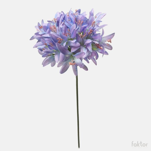 Sinivioletti nerine-tekokukka