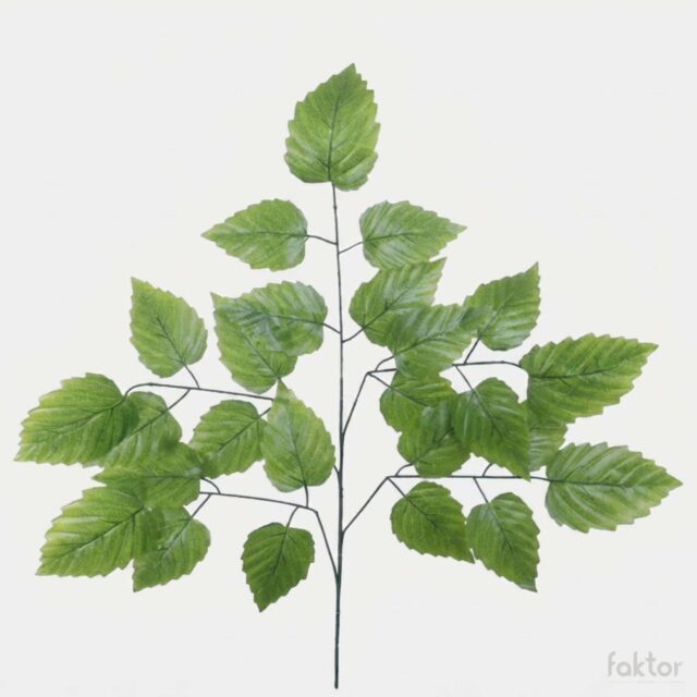 Tummanvihreä ja keltasuoninen tekokasvin lepänoksa