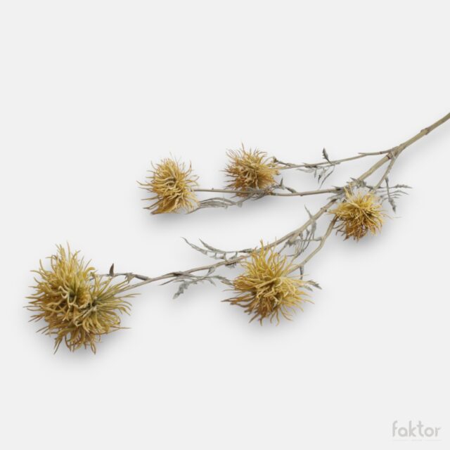 Keltainen xanthium-tekokukkaoksa, jossa viisi kukintoa