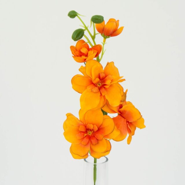 Oranssi ritarinkannuksen oksa tekokukkana