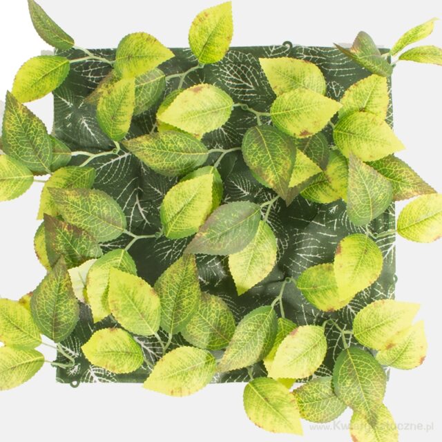 Vihreä tekokasvipaneeli 25 × 25 cm