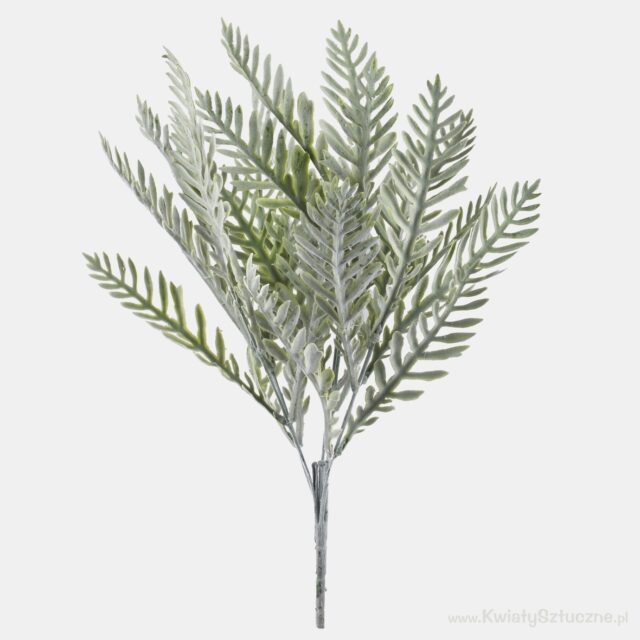 Vihreä saniaistekokasvi, 41 cm