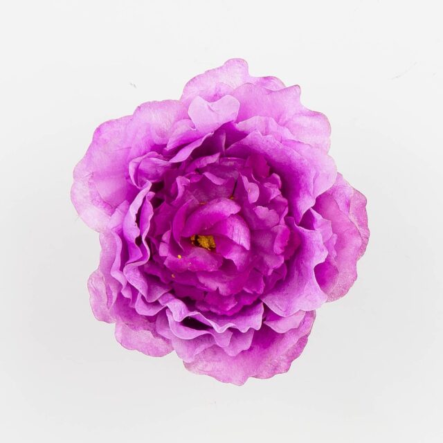 Violetti-valkoinen tekokukkapionin kukkapää