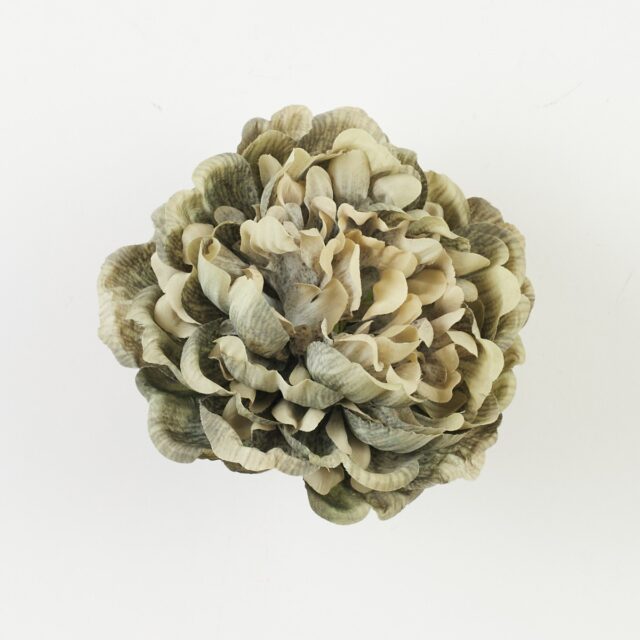 Beige tekopionin kukkapää B35-41