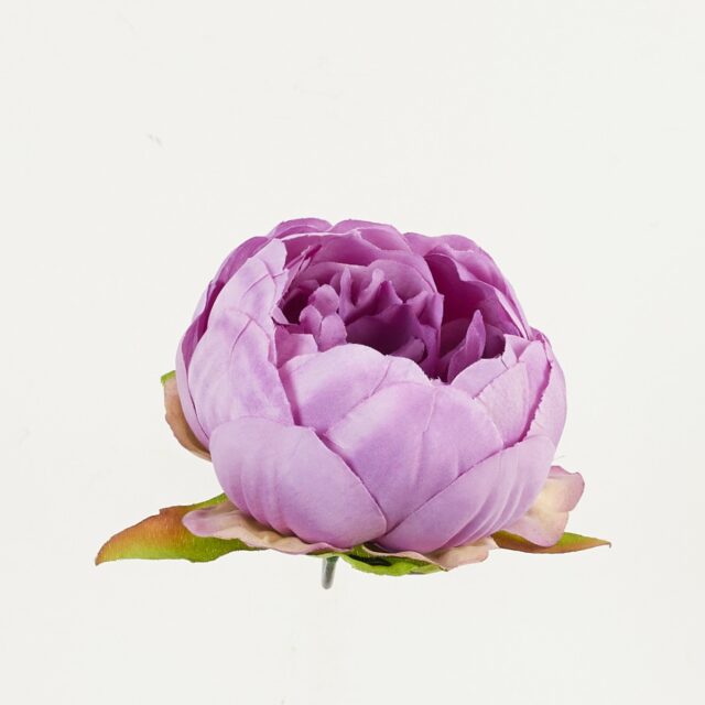Violetti tekopionin kukkapää