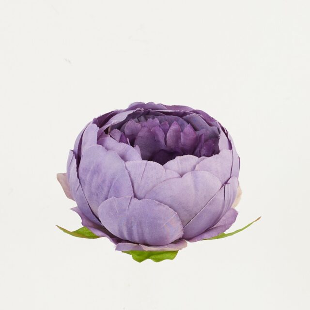 Violetti tekokukkapionin kukkapää