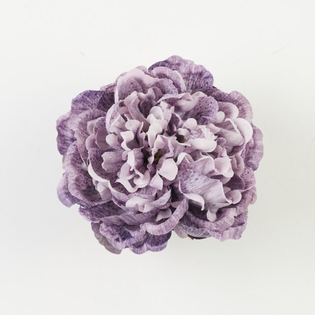 Violetti tekopionin kukkapää