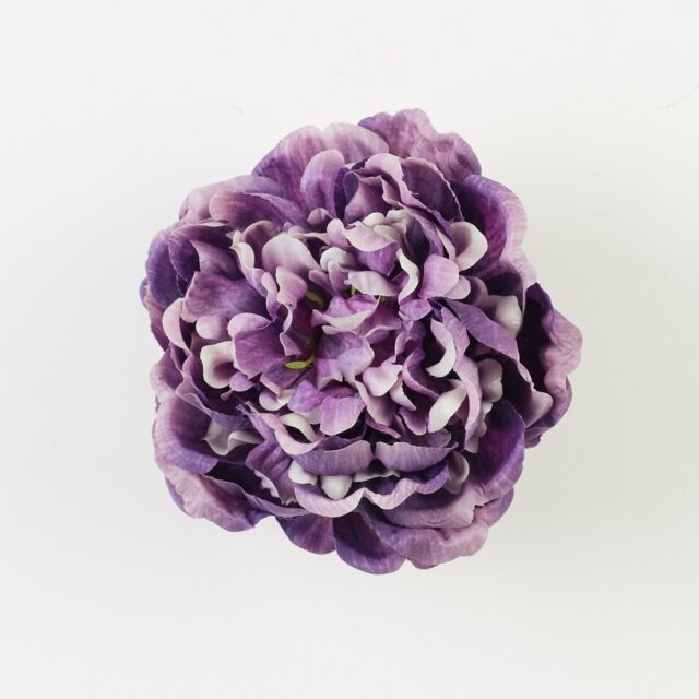 Violetti tekokukkapionin kukkapää