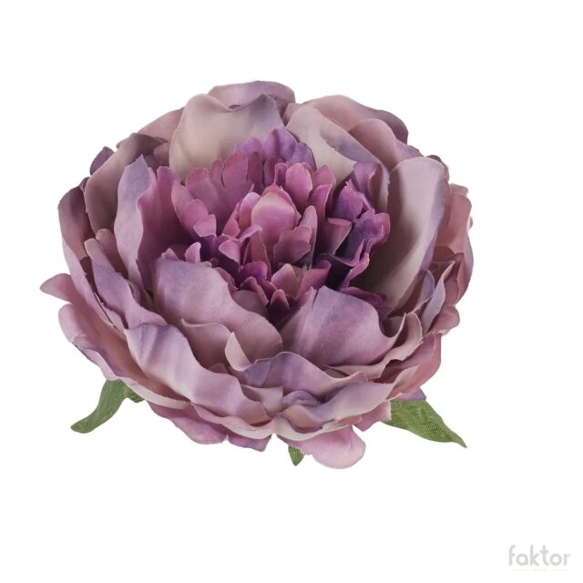 Violetti tekopionin kukkapää