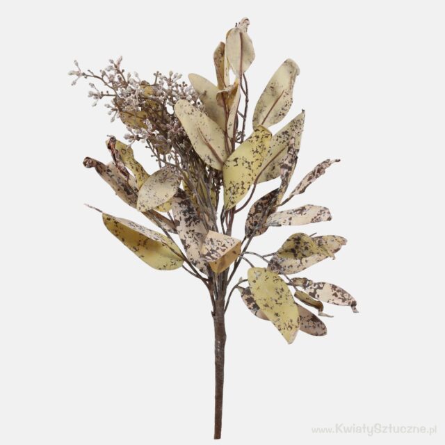 Syksynbeige Cotinus-tekokasvioksa