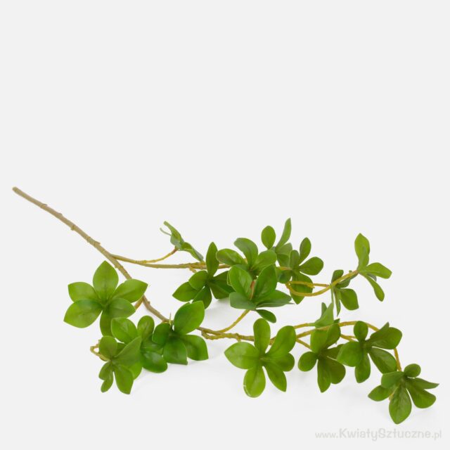 Vihreä pittosporum-tekokasvin oksa