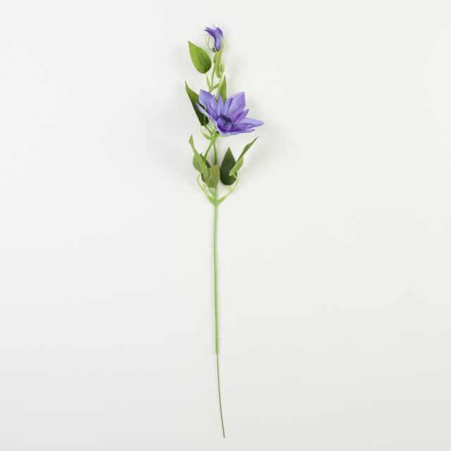 Tummanvioletti kärhötekokukkavarsi