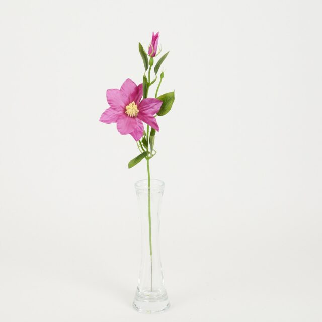 Violetti kärhötekokukka oksalla