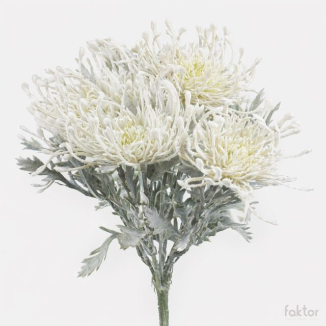 Valkoinen protea-tekokukkakimppu
