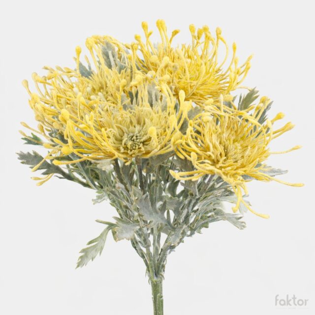 Keltainen protea-tekokukkakimppu, 32 cm