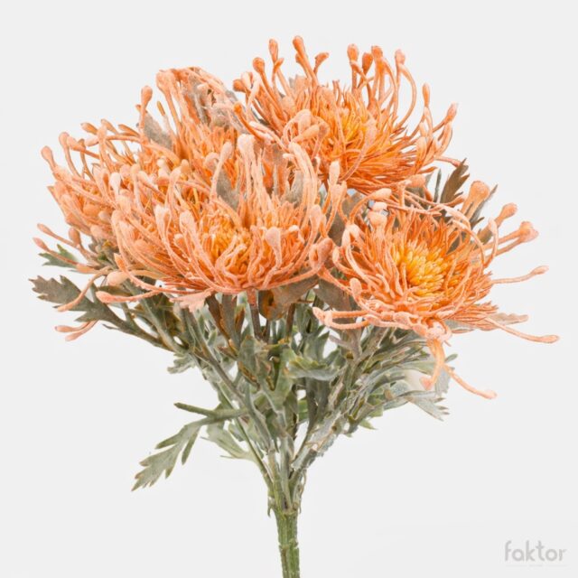 Vaaleanoranssi protea-tekokukkakimppu