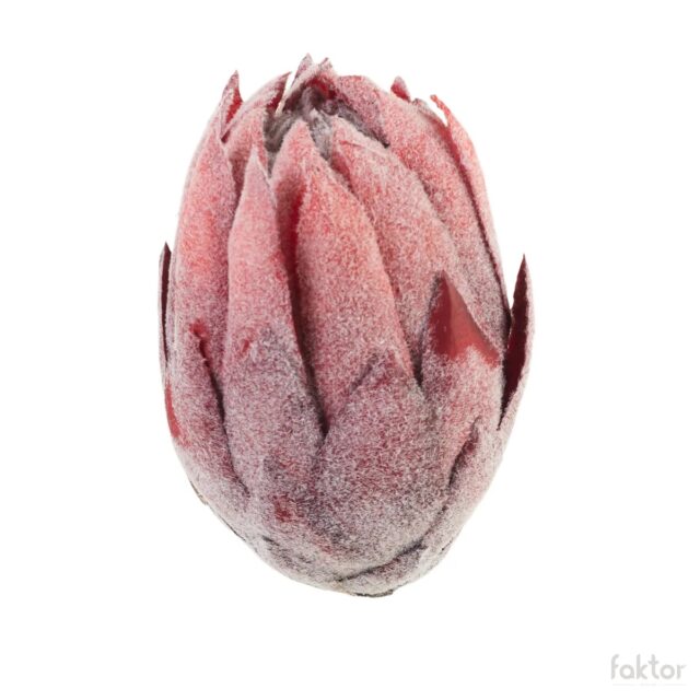 Punainen protea-tekokukan kukkapää