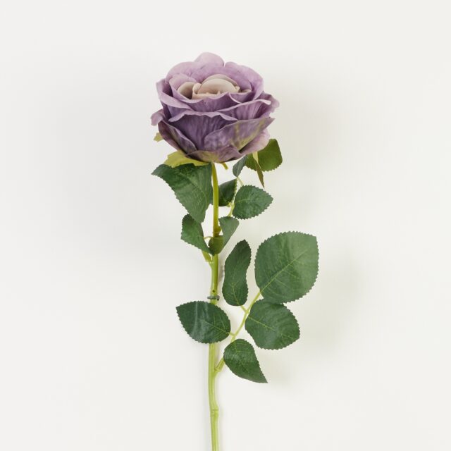 Syksyisen violetti tekoruusun oksa
