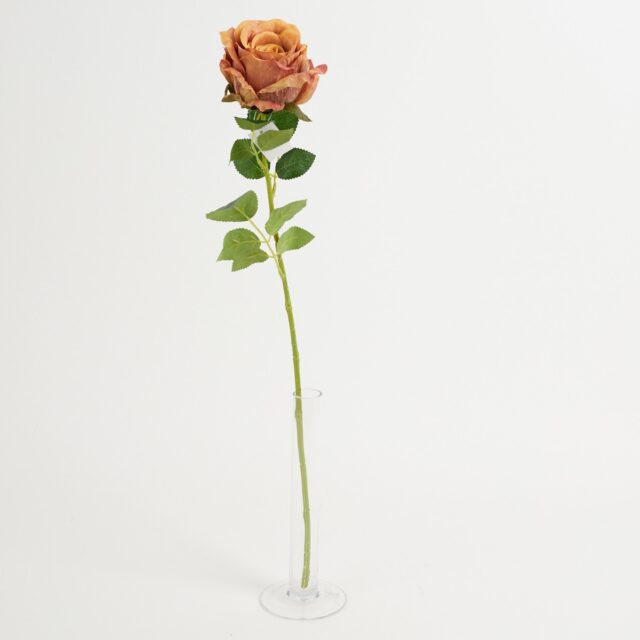 Oranssinruskea tekoruusun oksa vihreillä lehdillä