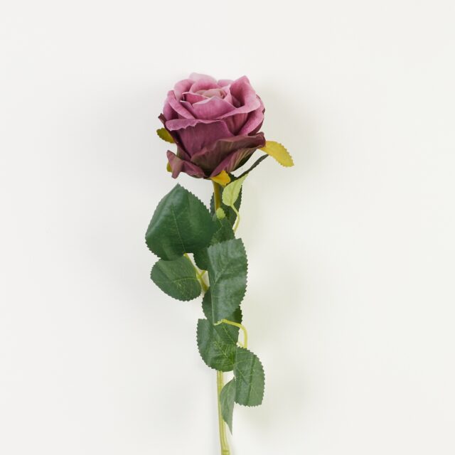 Violetti tekoruusun oksa, sävy B60-55