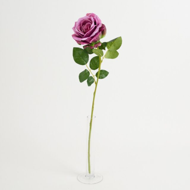 Violetti tekoruusun oksa vihreillä lehdillä