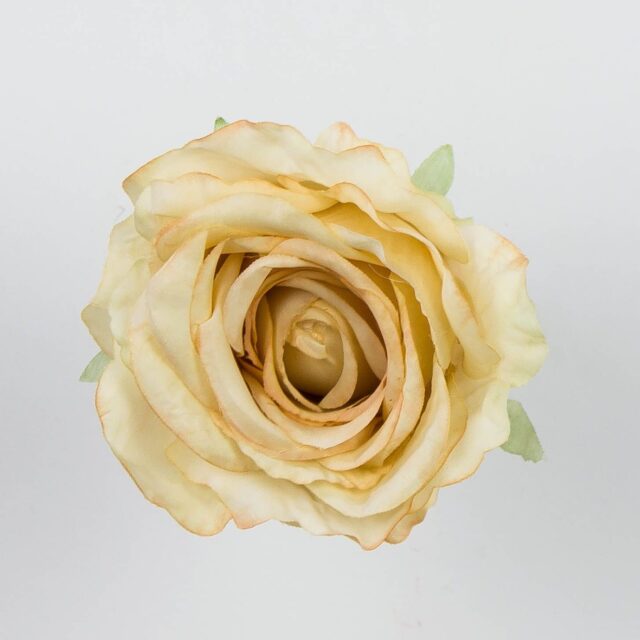 Beige avoin tekoruusun kukkapää
