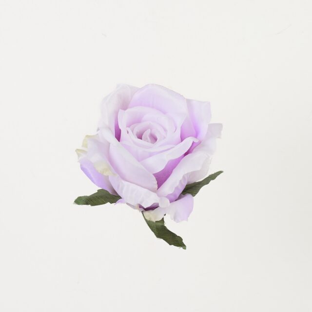 Vaaleanvioletti avoruusun tekokukan pää