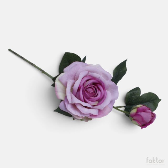 Violetti tekoruusu pitkällä varrella