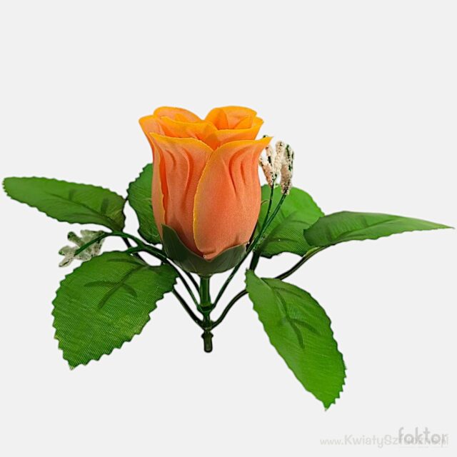 Oranssi tekoruusun nuppu lehdillä