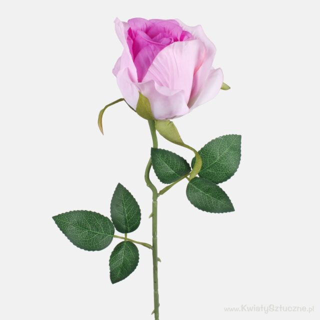 Violetti tekoruusun oksa