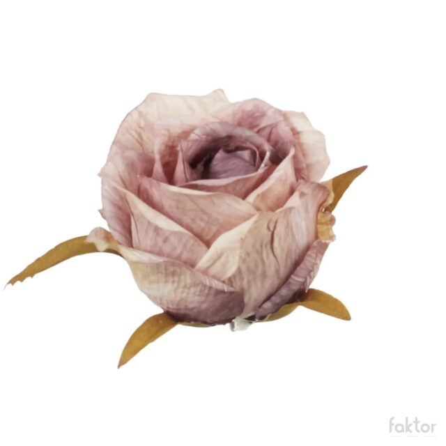 Violetti tekoruusun nuppu